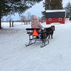 Meet your Posher, Laurie